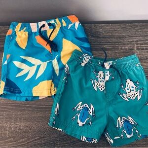Tea Collection Swim Trunk Lot (2)